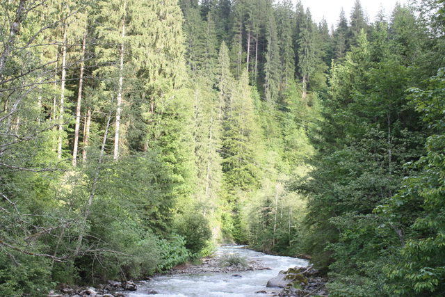 Kelchsauer Ache im Tal bei Kelchsau