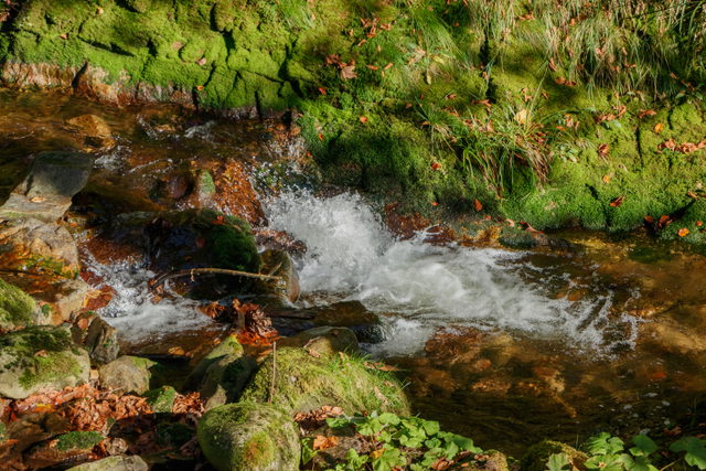 Allerheiligen-Wasserfälle in der Schlucht des Lierbachs