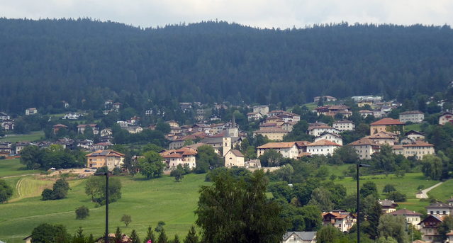 Ronzone mit Wiesen und Wald am Hang im oberen Nonstal