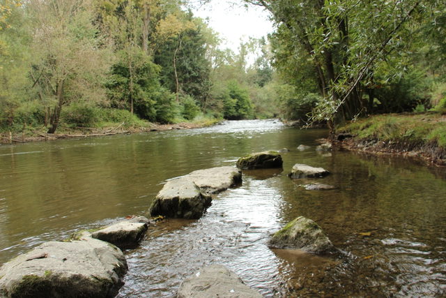 Steine im Wasser der Schussen bei Weingarten
