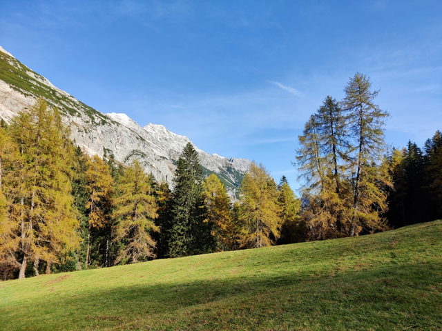 Grüne Wiese und goldene Lärchen am Issanger im Halltal