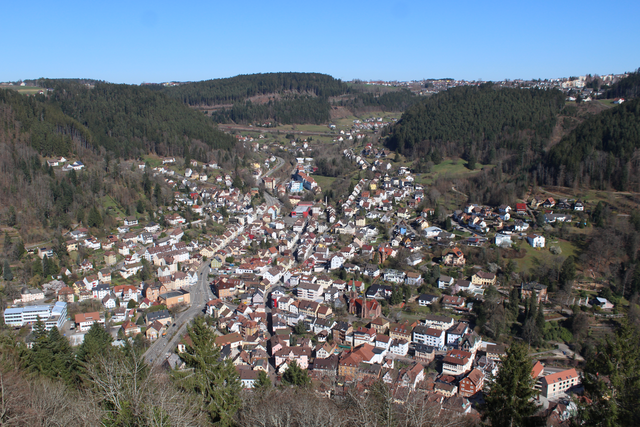 Blick über die Schramberger Talstadt und die bewaldeten Hänge