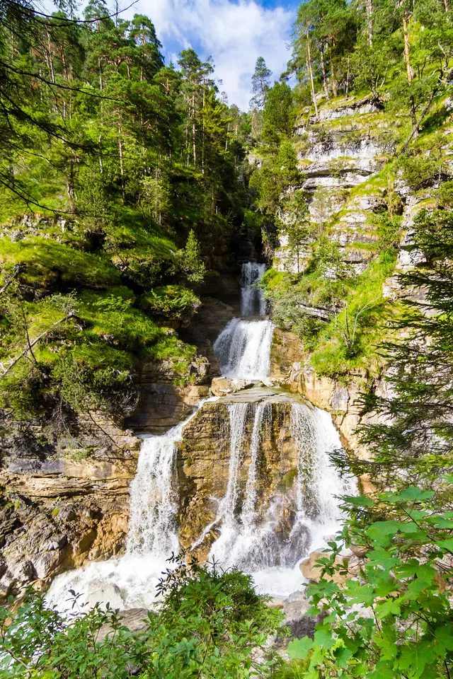 Wasserfall im Wald in einer felsigen Schlucht von Bäumen umgeben.
