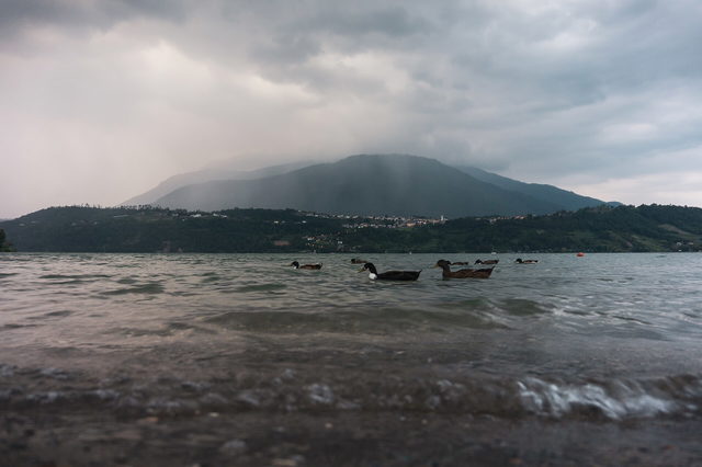 Enten auf dem Caldonazzosee unter Gewitterwolken