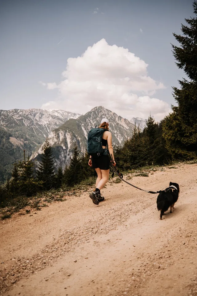 Person mit Rucksack wandert mit Hund auf einem Kiesweg in Berglandschaft.