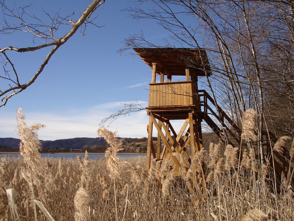 Sablatnigmoor Eberndorf – Teichlandschaft und Vogelbeobachtung