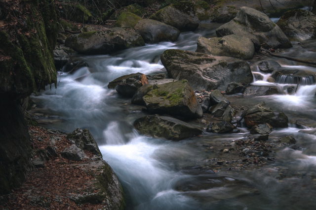 Falschauer zwischen Felsen in der Gaulschlucht bei Lana