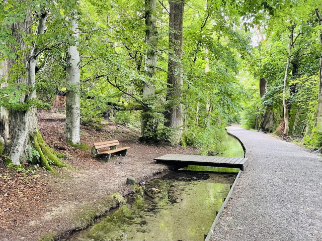 Schattiger Spazierweg und Sitzbank am Krummbach in Ochsenhausen.