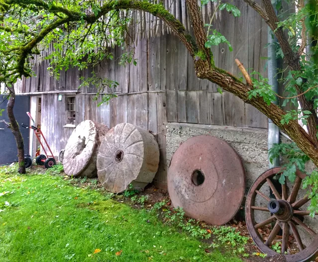 Mehrere große runde Scheiben lehnen an einer Holzwand, daneben ein rostiges Rad im Garten