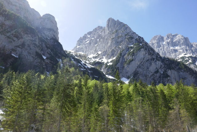 Wilder Kaiser über dem Kaiserbachtal
