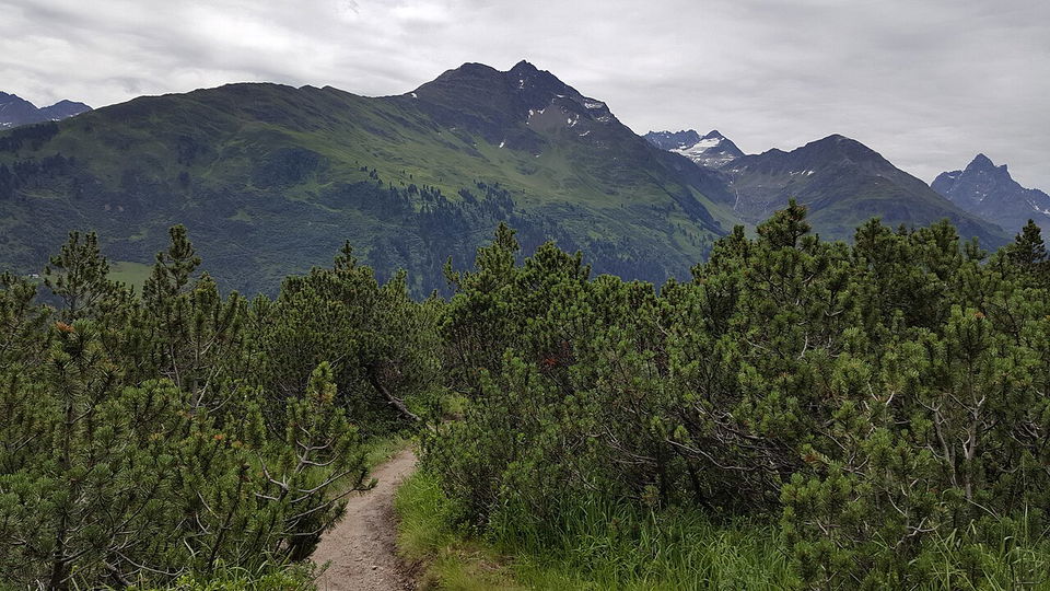 Senns WunderWanderWeg – Natur entdecken bei der Sennhütte