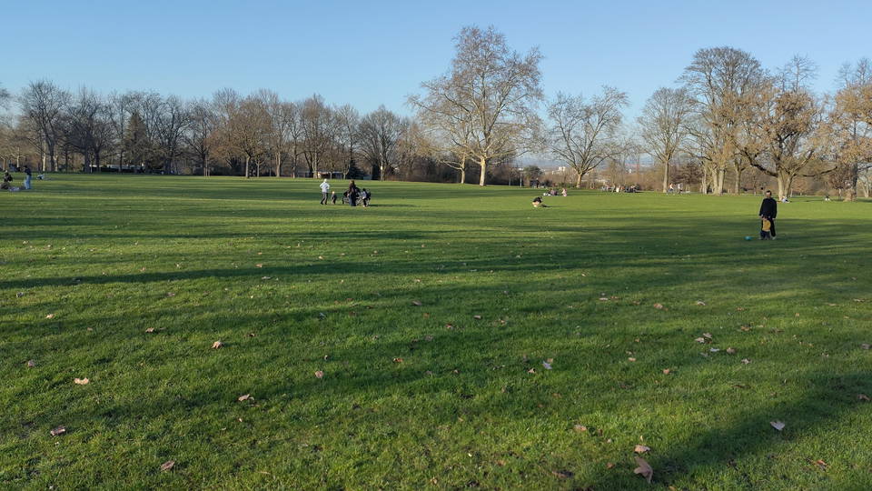 Weite Wiese und Bäume im Volkspark Mainz