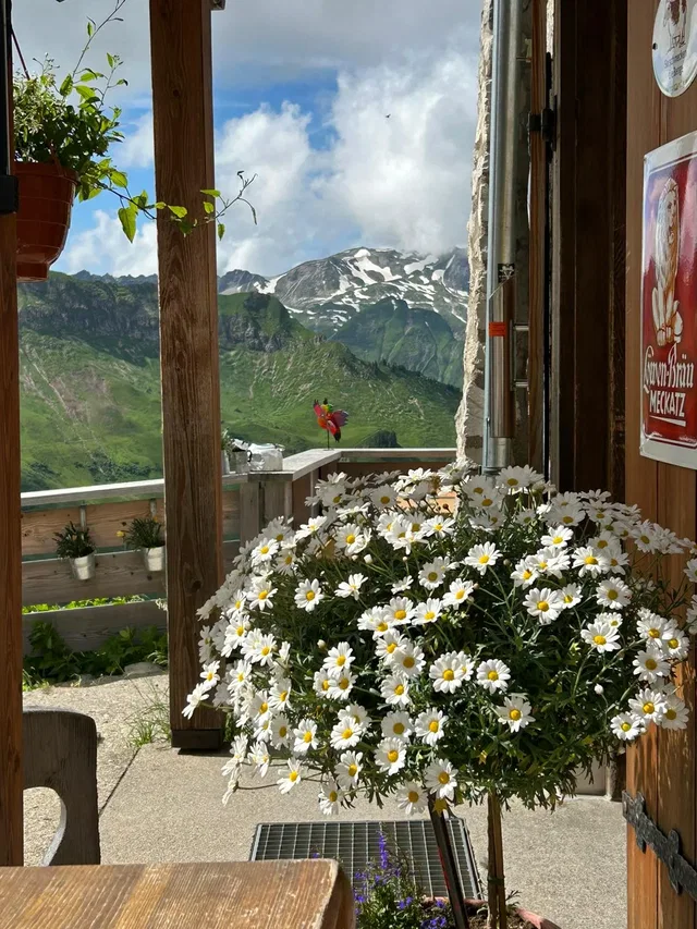 Weiße Blüten am Hüttenfenster mit Blick auf die Berge.