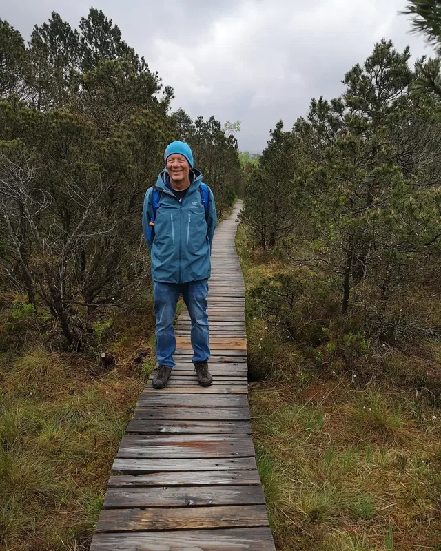 Person in blauem Outdoor-Outfit steht auf einem Holzsteg im Wald.