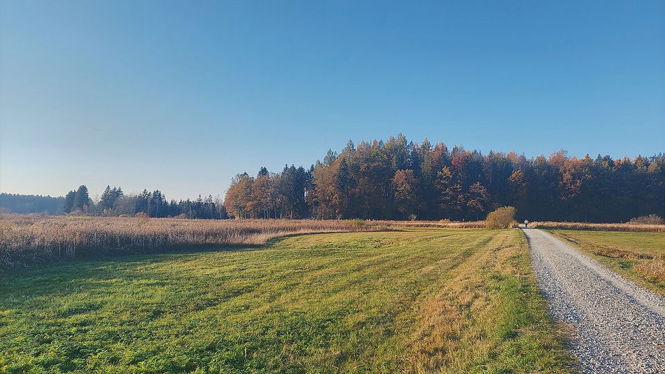 Isnyer Moorrunde – durch die Bodenmöser am Eisensberg