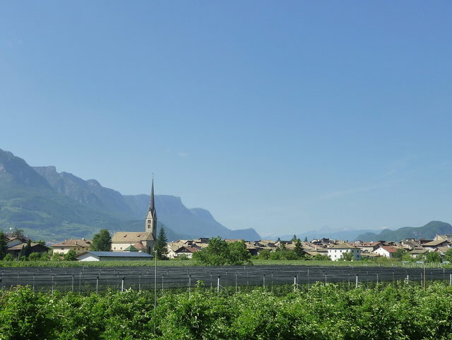Neumarkt in Südtirol mit Kirche und Weinbergen