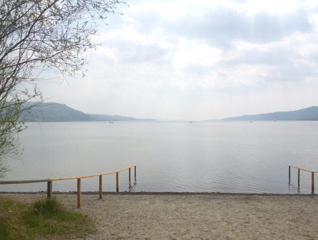 Seeufer am Naturschutzgebiet Aachried bei Bodman
