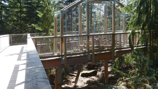 Rätsel und Waldzeit im Nordschwarzwald: Vier Familienziele im Vergleich