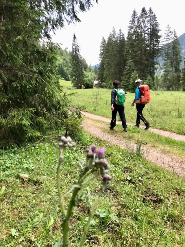Zwei Wandernde auf einem Weg zwischen Wiesen und Nadelbäumen.