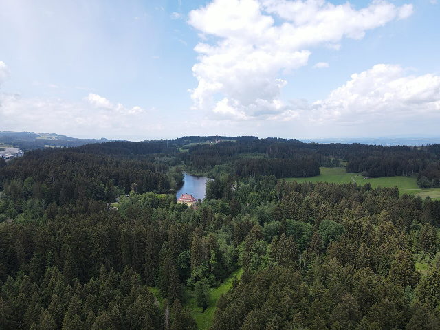 Luftblick auf den Waldsee und die umgebende Waldlandschaft in Lindenberg