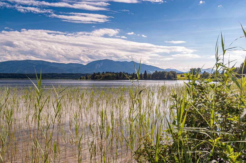 Staffelsee-Panoramarunde ab Murnau – Radtour zum Soier See und durchs Moos