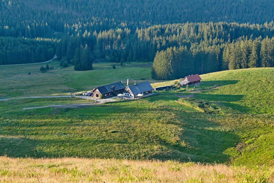 Trans Nationalpark Etappe 2: Mit dem Mountainbike von Reichraming nach Windischgarsten