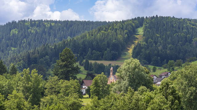 Waldzeit im nördlichen Schwarzwald: Familienziele mit Rätseln und Tieren