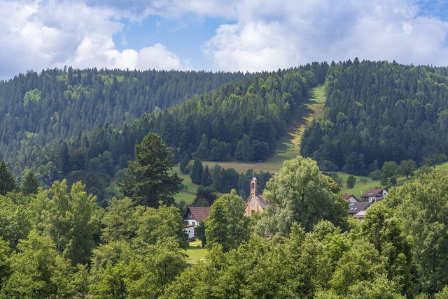 Blick auf Enzklösterle zwischen bewaldeten Schwarzwaldhängen