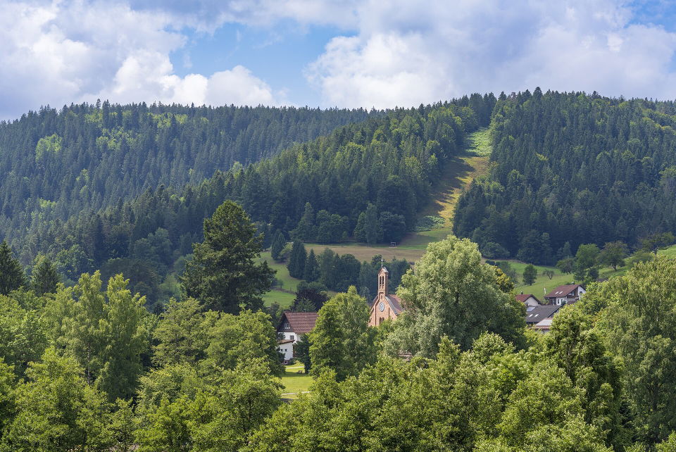 Enztal-Radweg – von Gompelscheuer durch den Nordschwarzwald bis Walheim