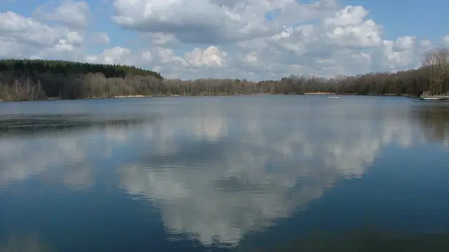 Stadtweiher in Leutkirch mit spiegelnden Wolken auf dem Wasser und Bäumen entlang des Ufers. Ortsmotiv zur Ausflugsplanung.
