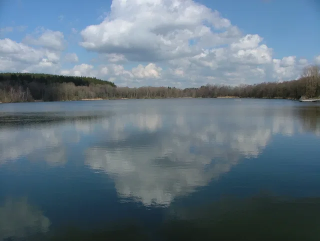 Stadtweiher mit Wald am Ufer und Wolken spiegeln sich im ruhigen Wasser.