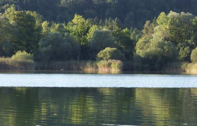 Blick über den Großen Ostersee bei Iffeldorf.