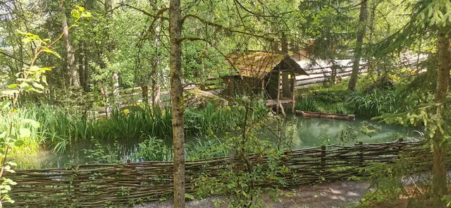 Teich im Wald mit Holzzaun und kleiner Hütte am Ufer