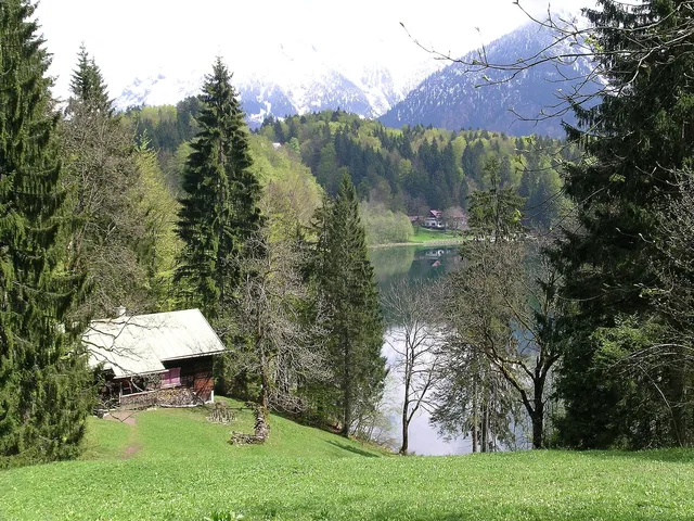 Westufer des Freibergsees bei Oberstdorf.