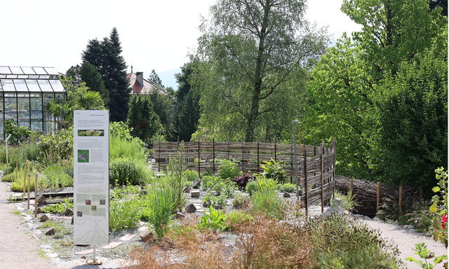 Heil- und Nutzpflanzengarten im Botanischen Garten Innsbruck
