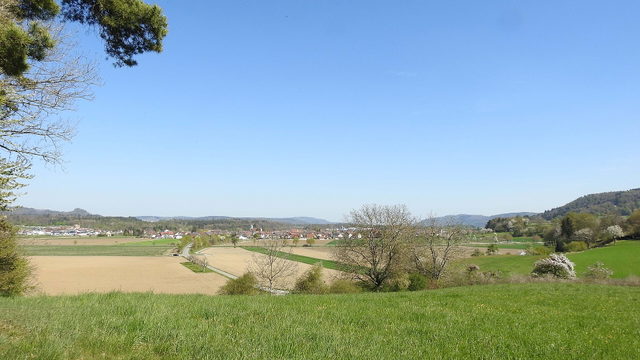 Blick aus der Landschaft auf Orsingen