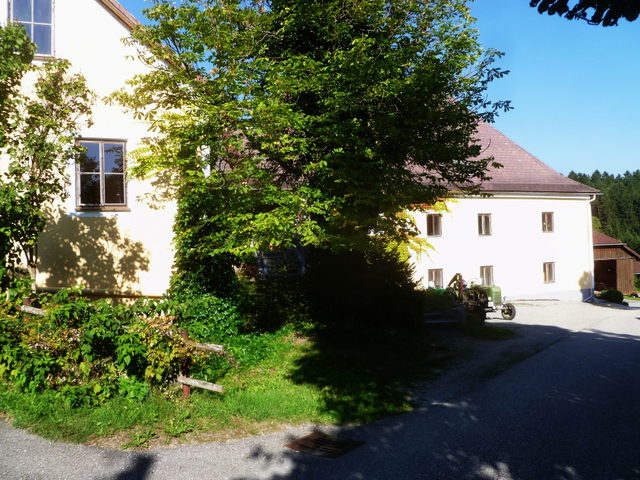 Gebäude und begrünte Zufahrt in Buchetwies bei Lembach im Mühlkreis