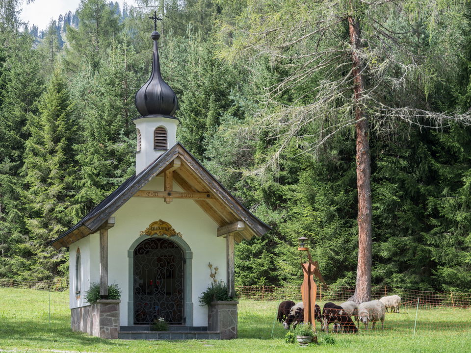 Neue Alplhütte über den Ochsenbründlsteig – Rundwanderung ab Wildermieming