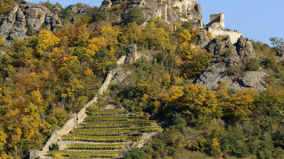 Mauern der Burgruine Dürnstein über der Wachau