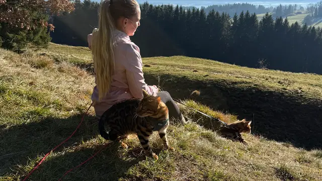 Zugezogen & Bergverliebt!  Willkommen bei Rosi on Tour - Unterwegs zwischen Gipfel und Tal