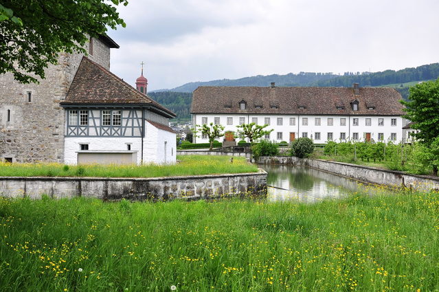 Schlossanlage Pfäffikon mit Schlossturm und Kapelle