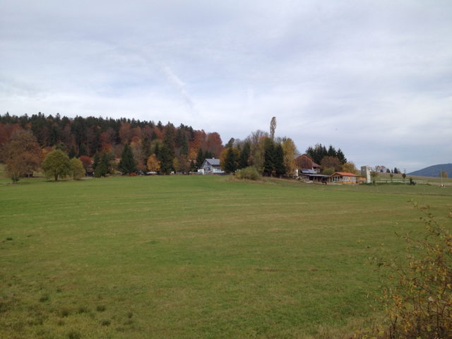 Wiesen und herbstlicher Waldrand am Adalbert-Stifter-Radweg