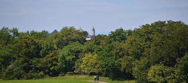 Blick über Wald und Wiese zur Burg Teck