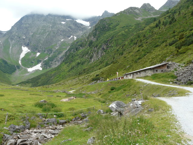 Karalm am grünen Talschluss des Pinnistals