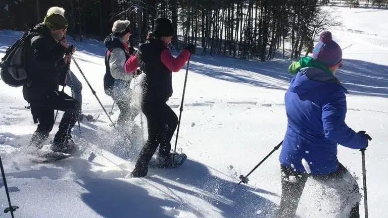 Vier Schneeschuhwanderer ziehen durch tiefen Schnee vor Wald und Bergen