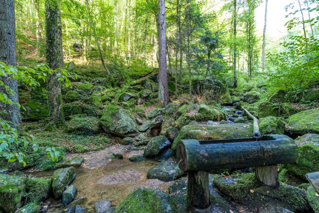 Wasserfall und Waldpfad in der Gaishöll bei Sasbachwalden.
