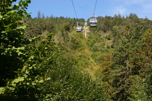 Gondeln der Seilbahn über dichtem Wald in bergigem Gelände