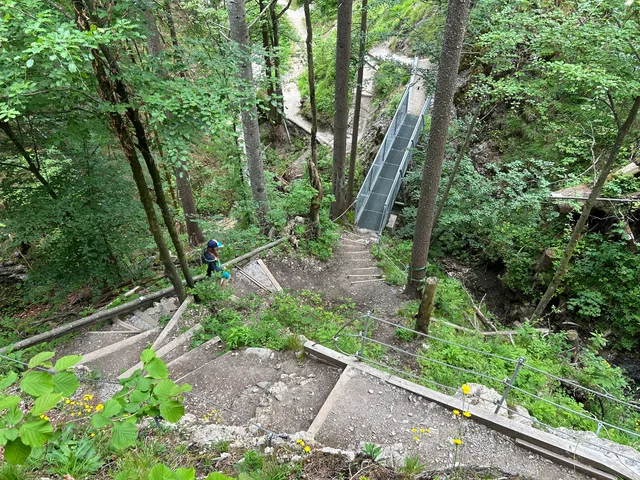 Waldwanderweg mit Holzstufen und schmaler Metallbrücke