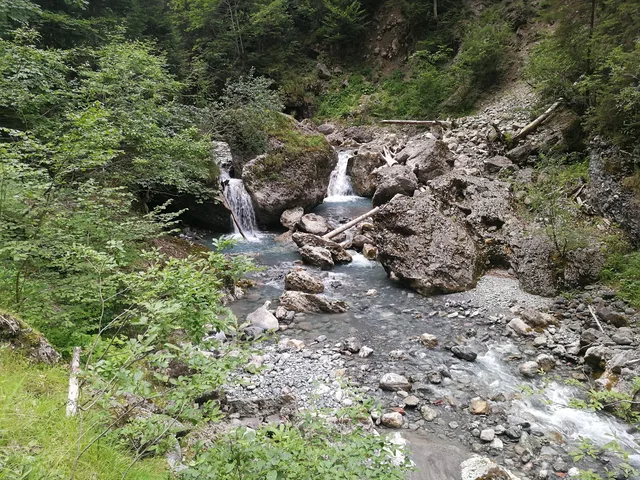 Fluss fließt durch felsige Schlucht mit Grün des Waldes.