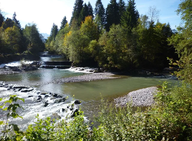Fluss mit kleinen Wasserfällen durch bewaldete Ufer im Herbst.
